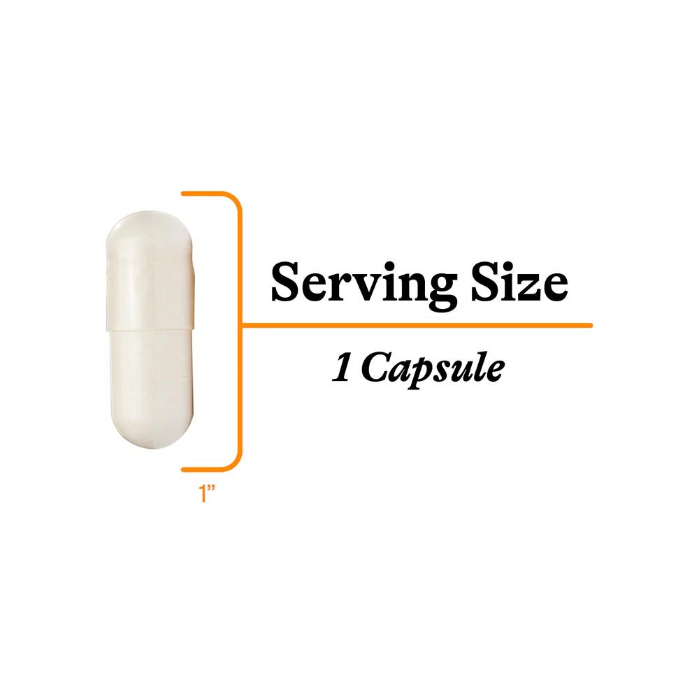 Acetyl-L-Carnitine | 90 Capsules - Image 7