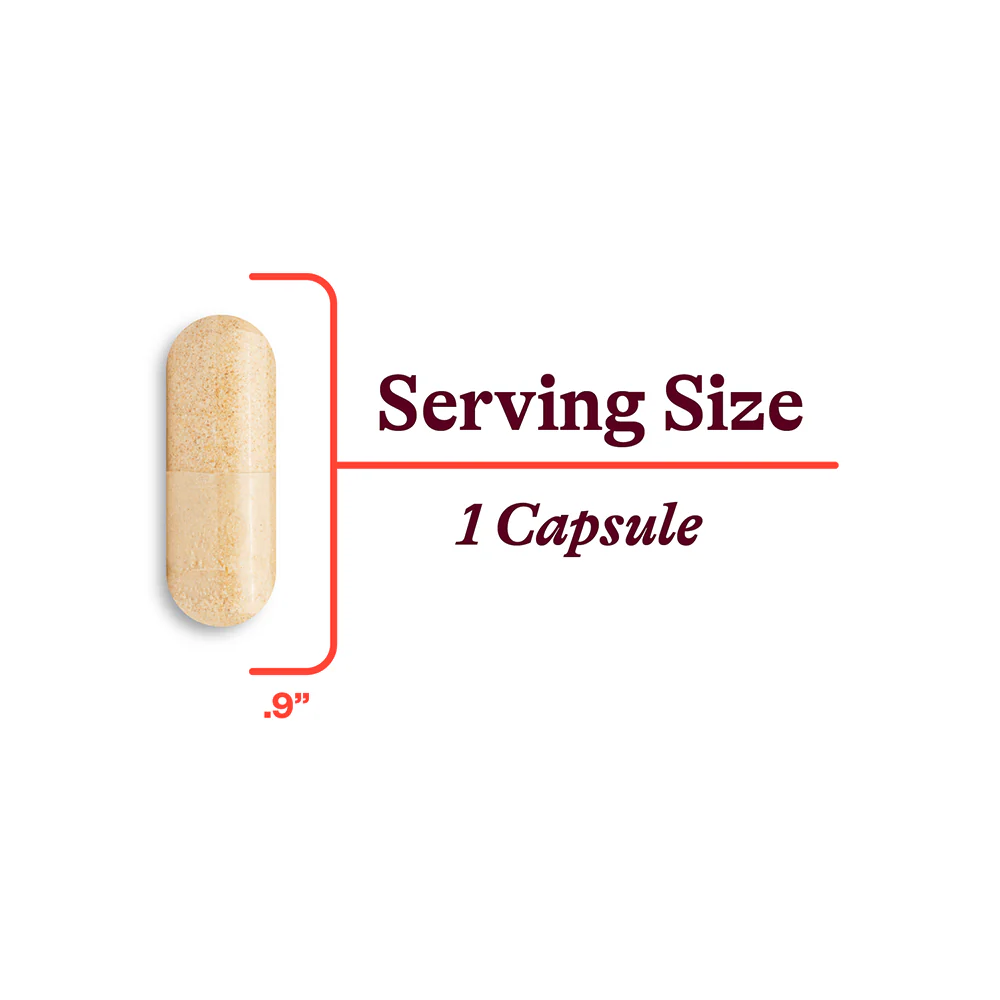 B Complex MF | Methyl Free | 100 Capsules - Image 4