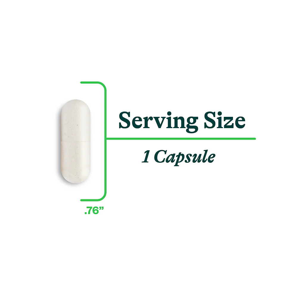 DAO Enzyme (Formerly Histamine Digest) | 30 Capsules | Seeking Health - Image 4