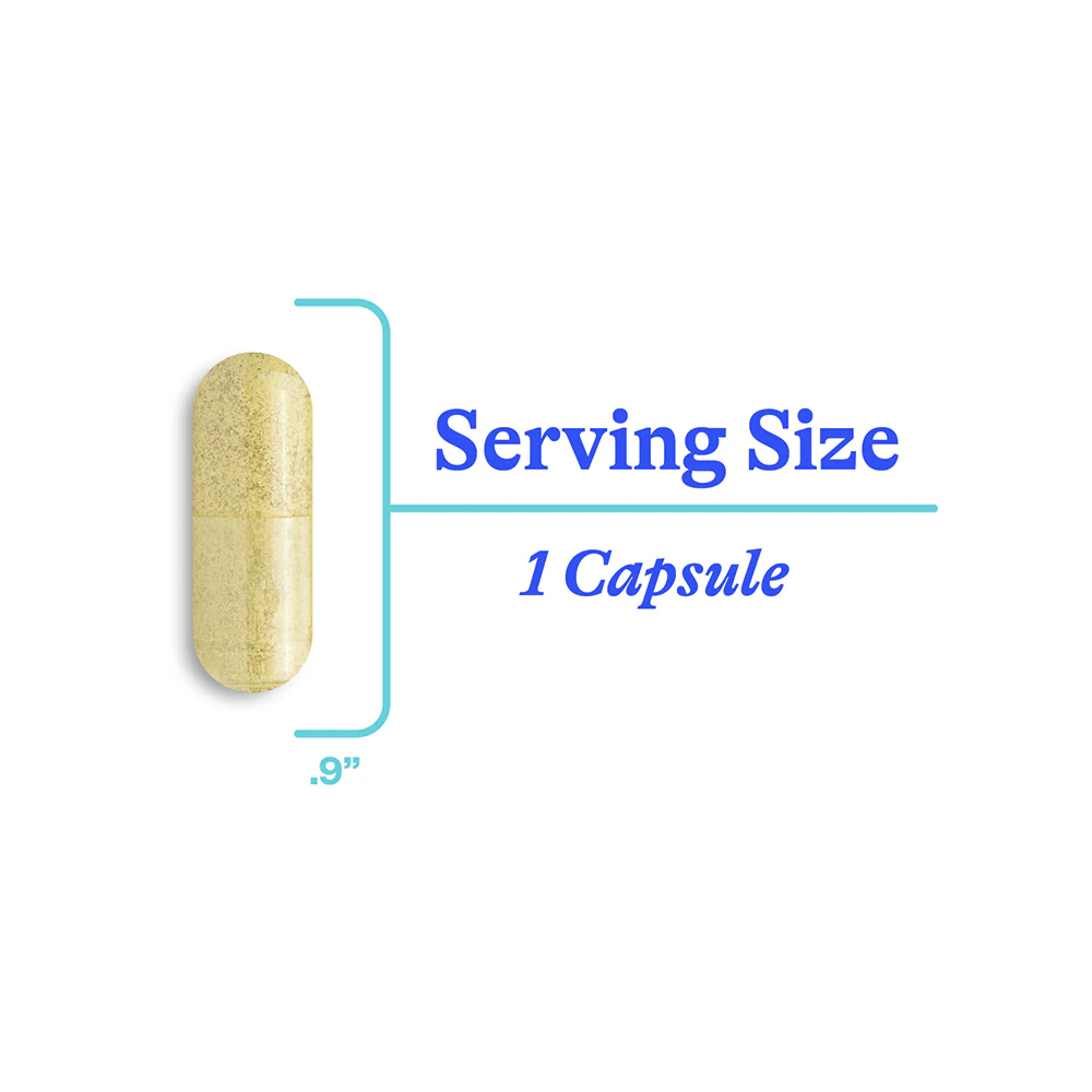 HistaminX | 60 Capsules | Seeking Health - Image 5