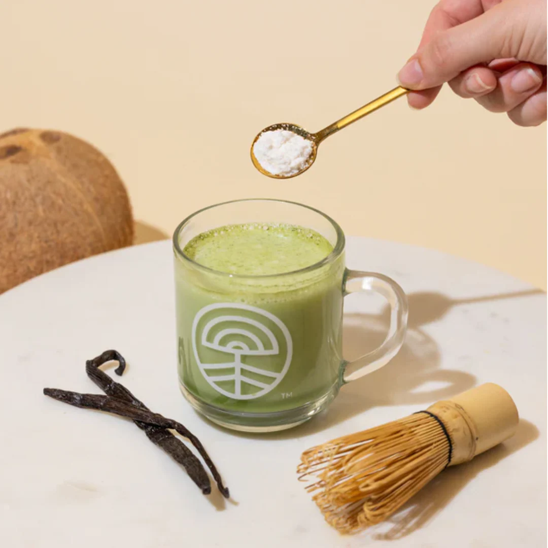 Nootropic Creamer Advanced Superfood | 30 Servings | Coconut Vanilla - Image 4