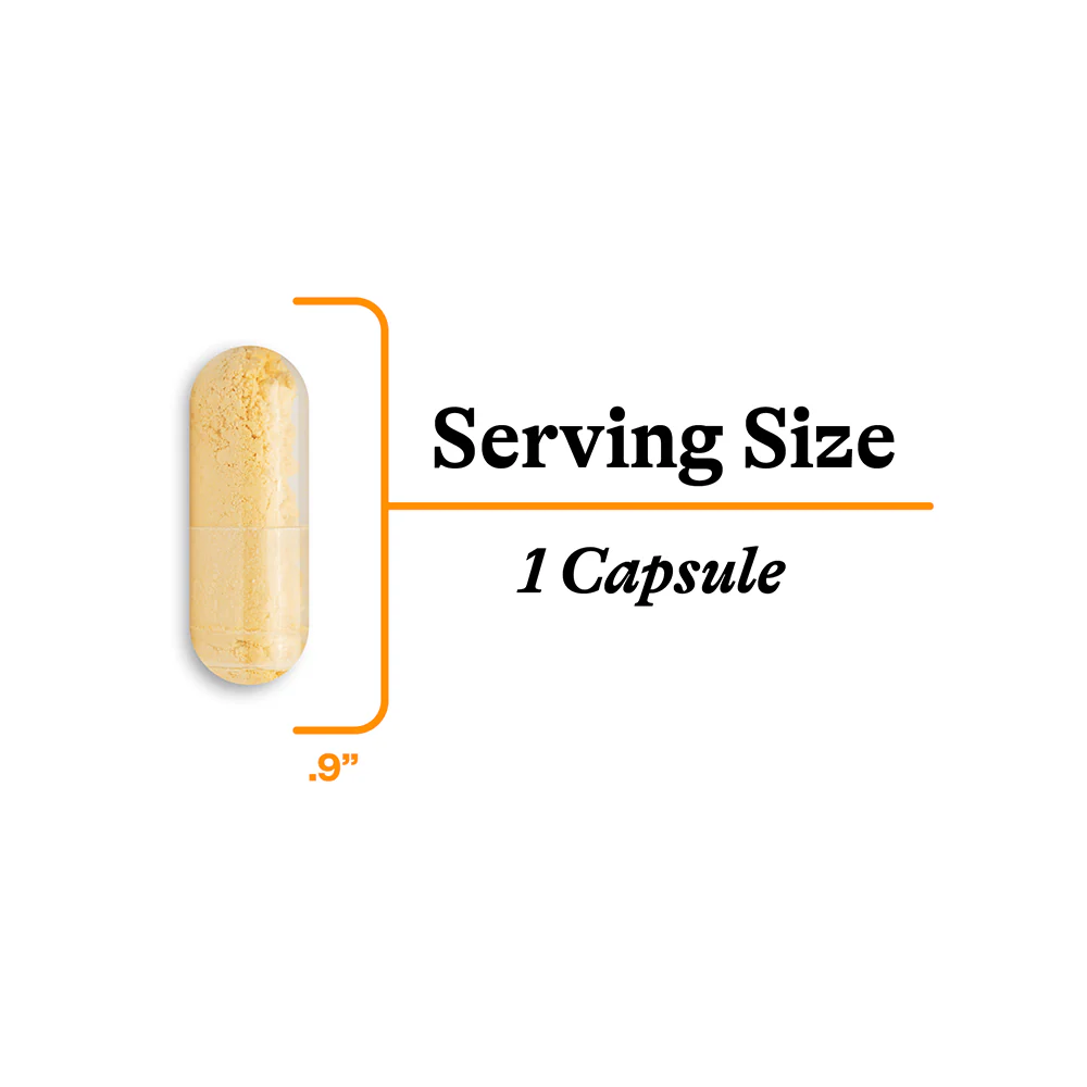 CoQ10 | 60 Capsules | Seeking Health - Image 6
