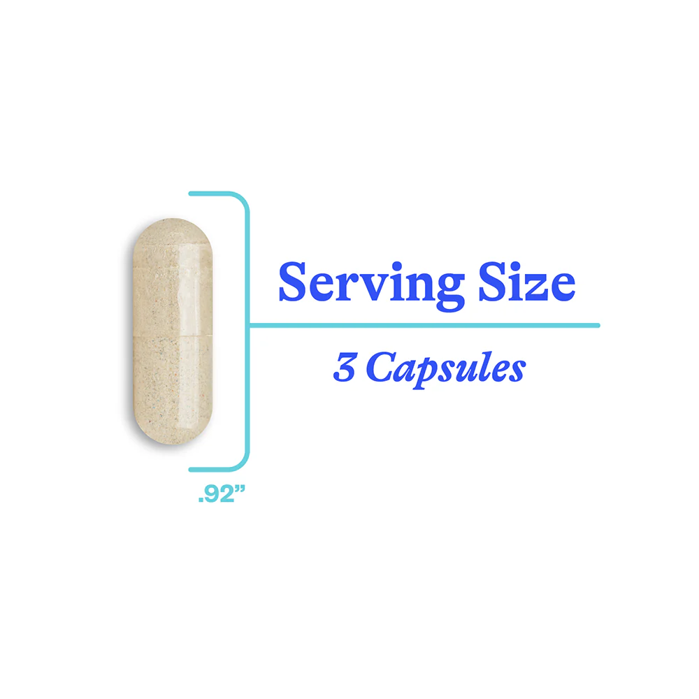 Optimal Focus | 90 Capsules - Image 6