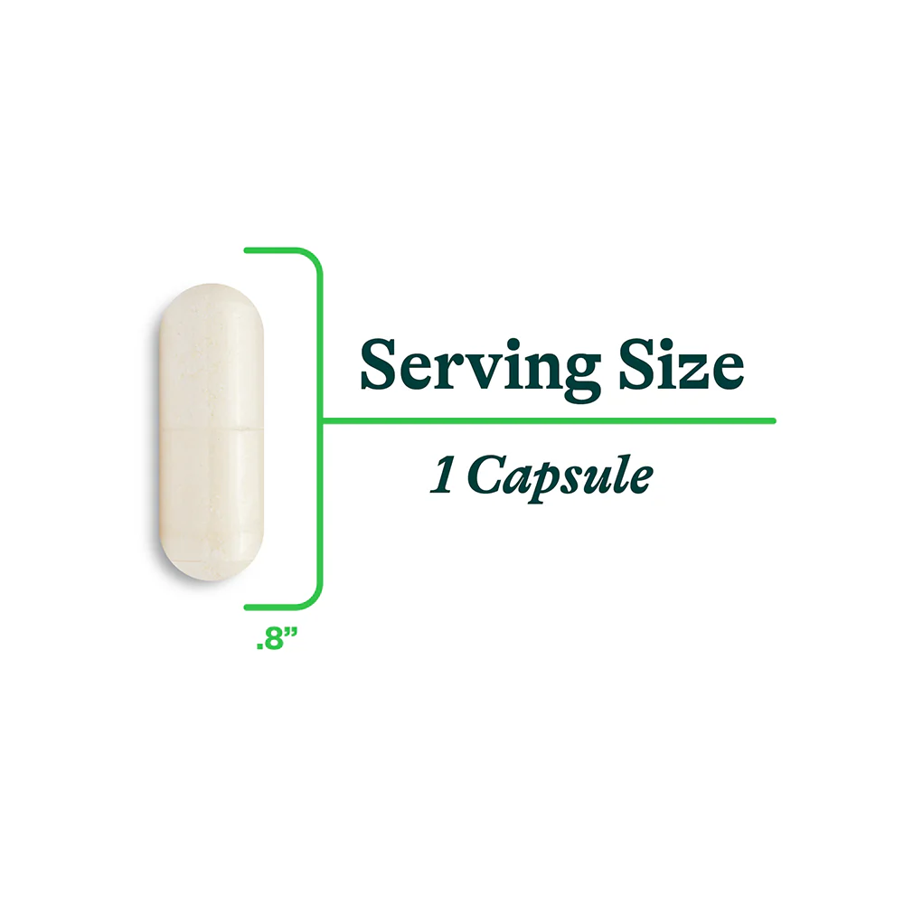 ProBiota Bifidobacterium | 60 Capsules - Image 6