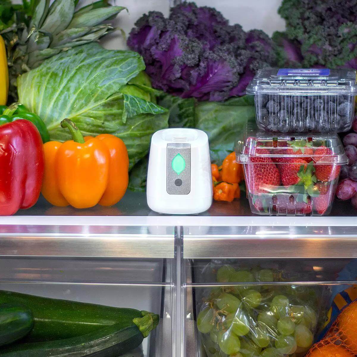 pureAir FRIDGE Refrigerator Purification | Greentech Environmental - Image 3