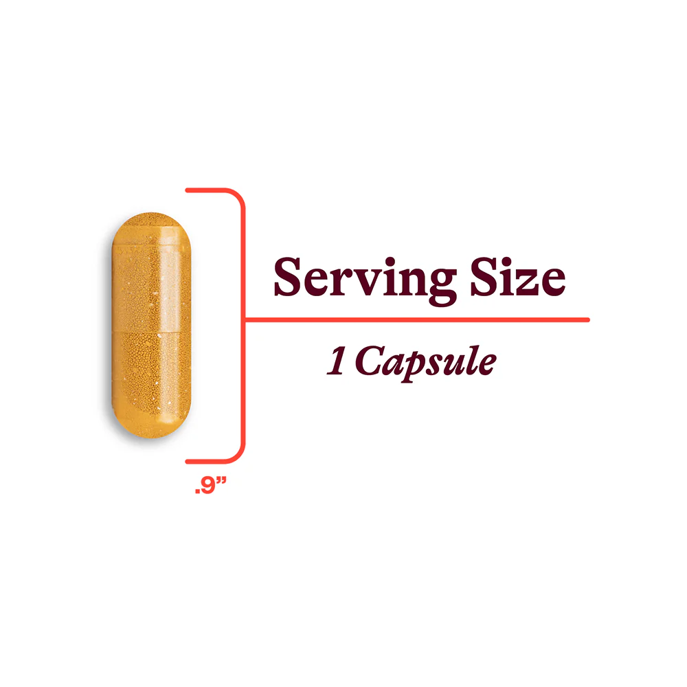 Riboflavin | 60 Capsules | Seeking Health - Image 7