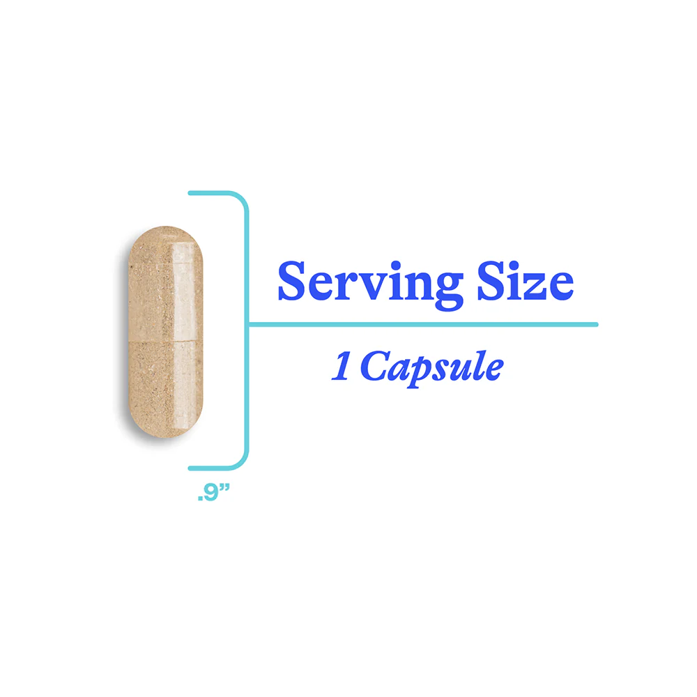 Stress Nutrients | 90 Capsules - Image 5